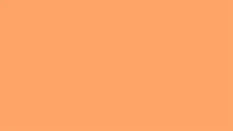 MELON.webp
