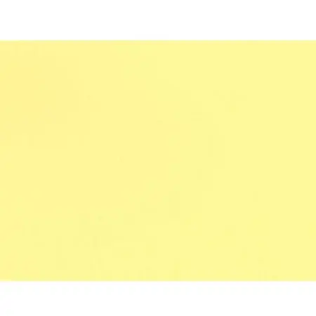 AMARILLO CLARO.jpg
